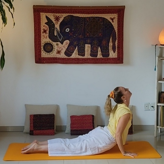 Hatha Yogasq
